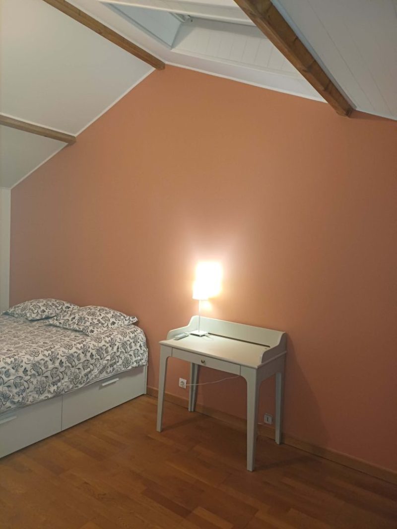 rénovation pièce renovation_piece_et_peinture_interieure_saint_chamond
